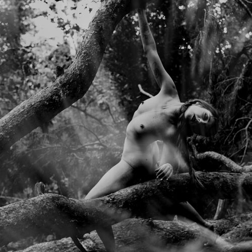 096A0304.2 LV. 51x35,05